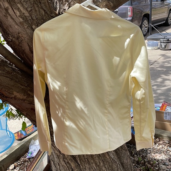 Pale Yellow business bottom Down - Picture 3 of 7